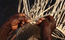From Weaving Basket To Afforestation – The Efforts Of Zimbabwean Women Entrepreneurs Are Exemplary