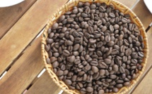Robusta coffee prices hit 45-year high