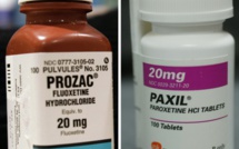 The intake of Prozac and Paxil may lead to birth defects