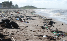 Environmental Pollution: India vs China