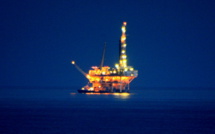 Contradictions Between OPEC and Goldman Sachs Forecasts on Oil