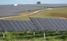Chinese Companies Team Up Solar Energy Generation and Agriculture