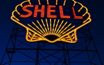 Arctic Deprived Shell of Profit