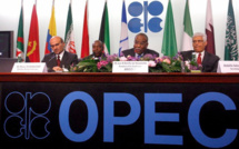 OPEC Predicted Oil Prices Bouncing Back to $ 100 in a Quarter-Century