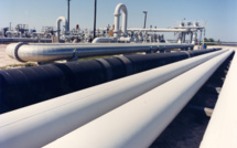 5 Possible Surprises in the Global Energy Sector in 2016