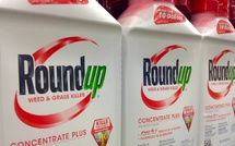 Court orders Bayer to pay nearly $2.1 billion in Roundup herbicide case