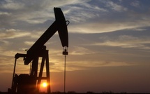 Saudi Aramco discovers 8 fields and 6 hydrocarbon reservoirs in Saudi Arabia