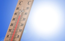 Allianz expects economic slowdown in Europe due to heat in 2025