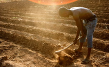Africa's Struggle to Bring Its Own Free Trade Zone Into Play
