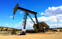 Domino Effect in the US Energy Sector
