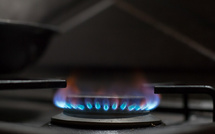 EU Member states will be required to submit gas and oil supply diversification plans