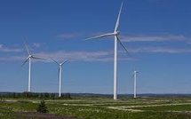 Trump criticizes renewable energy in Davos