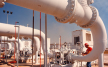 The decline in oil prices made food cheaper