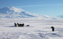 Why does the southernmost continent allure tourists so much?