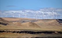 Green energy investments are at the height