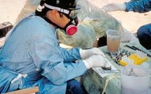 12 healthcare workers in the Netherlands quarantined due to errors in handling hantavirus
