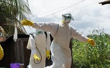 WHO reports over 900 suspected cases of Ebola in the Democratic Republic of the Congo