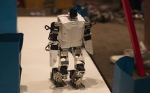 China's production of humanoid robots may exceed 100,000 by 2026