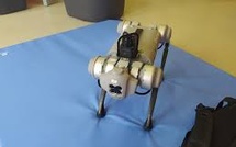 Shares of robot maker Unitree soar 460% in their debut trading in Shanghai