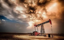 IEA forecasts sharpest drop in oil demand since COVID-19 pandemic