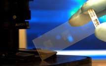 Google, GlaxoSmithKline to dive into bioelectronics